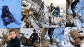 Erzincanda yaban keçisi avlayan 5 kişiye 5 milyon 207 bin 178 TL rekor para cezası