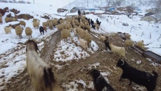 Erzincanın köylerinde kış mesaisi başladı