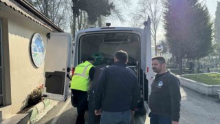 Feci kazada hayatını kaybeden hemşire ve avukatın cenazeleri memleketlerine gönderildi
