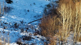 Fırtına direkleri devirdi, köylerde enerji kesintisi yaşandı