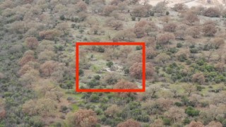 Garip çobanın kayıp koyunlarını jandarma dronu buldu