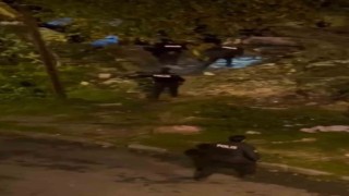 Gaziosmanpaşada hareketli dakikalar, polis dakikalarca silahlı saldırganı aradı