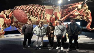 Gerçek hayvanların anatomi sergisinde 3.2 ton ağırlığındaki fil Samba İstanbulluların ilgi odağı oldu