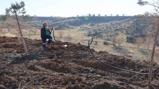 Gölbaşı Belediyesi, park ve bahçelerde peyzaj çalışmasını sürdürüyor