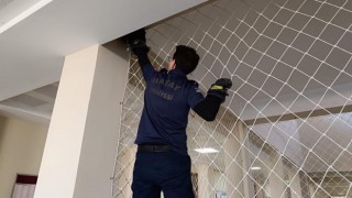 Hatayda fileye takılan kediyi itfaiye kurtardı