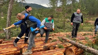 Hisarcıkta ormandaki ağaçlara barkod uygulaması