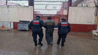 İş yeri hırsızlığı şüphelileri jandarmadan kaçamadı