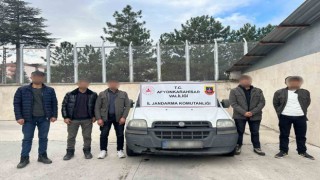 Jandarma 5 düzensiz göçmen yakaladı