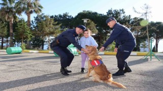 Jandarma köpeği Riodan miniklere gösteri