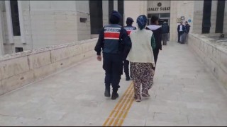 Jandarmadan zeytin hırsızlarına gece baskını...2 kişi gözaltına alındı