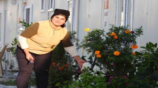 Hatay'da konteyner kente kadın eli değince her yer yeşillendi