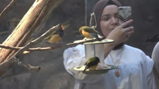 Karadeniz Bölgesinde ilk olma özelliği taşıyor