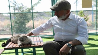 Kayseride ilk olan ‘Küçük Dostlar Kedi Kasabasına yoğun ilgi