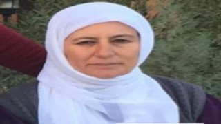 Mardin’de Kazada ağır yaralanan kadın, hayatını kaybetti