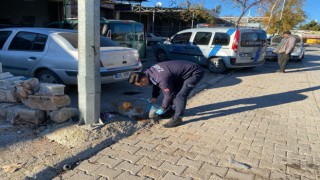 Kilis belediyesi sokak hayvanlarını unutmadı