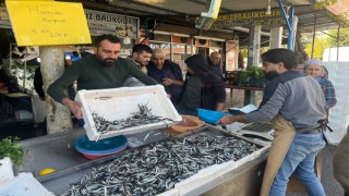 Kiliste balık tezgahlarını Karadeniz hamsisi süslüyor