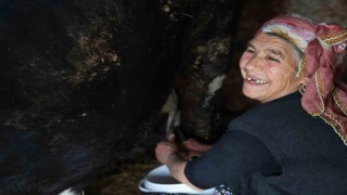 Arazilerine milyonlar verilen kız kardeşler üretmeyi tercih etti.