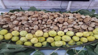 Kuru incir ihracatı 2 ayda 90 milyon dolar oldu