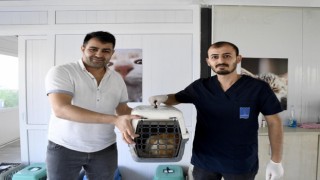 Kuşadasında minik patili can dostların sağlığı emin ellerde