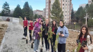 Kütahyada Atakent İlk ve Ortaokulu bahçesine fidan dikimi