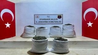 Licede 3 ayrı noktada 79 kilo esrar ele geçirildi
