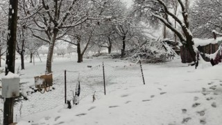 Malatyanın Darende ilçesinde kar yağışı etkili oldu
