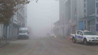 Malazgirtte soğuk hava ve sis etkili oldu