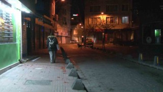 Marmara Denizinde deprem: İstanbul ve birçok ilde hissedildi