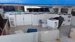 Marmara Denizine ağ atan balıkçılar, yaklaşık 30 ton torik balığı avladılar