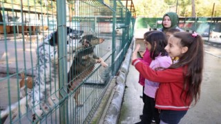 Marmariste patili dostlara yeni yıl ziyareti