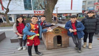 Merhamet konusu işleyen öğrenciler sokak hayvanlarıyla ilgilendi