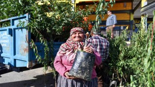 Mersinde üreticilere badem fidanı desteği