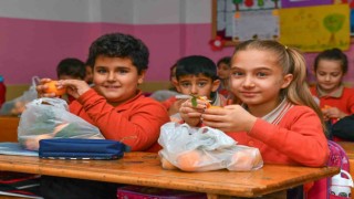 Mersindeki okullardaki çocuklara 100 ton narenciye dağıtılacak