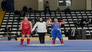 Mersinli sporcular Wushu Kung-Fu Avrupa Şampiyonasından başarıyla döndü