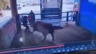 Mezbahada boğanın saldırdığı adam hayatını kaybetti, o anlar kamerada