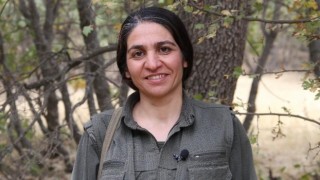 MİT, PKKnın sözde kadın savunma güçleri komutanını etkisiz hale getirdi