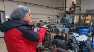 Muğla Tarım Müdürlüklerinden zeytin ve zeytinyağı denetimi