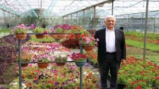 Muğlanın çiçekleri 8 ilin cadde ve sokaklarını süslüyor