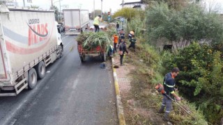 Nazillide temizlik ekipleri karayolu kenarlarını temizledi