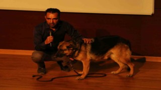 NEVÜde Kent Yaşamında Sokak Hayvanları” konulu seminer düzenlendi