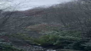 Ormancılar heyelandan son anda kurtuldu