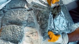 Osmaniye'de 12 Kilo Skunk Ele Geçirildi