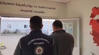 Osmaniye'de göçmen kaçakçılığı operasyonu: 3 düzensiz göçmen yakalandı
