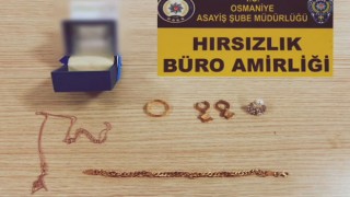 Osmaniye'de Hırsızlık Operasyonu: 7 Kişi Tutuklandı