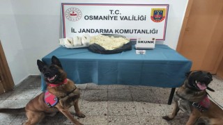 Osmaniye'de uyuşturucu operasyonu: 1 kilo 617 gram skunk ele geçirildi