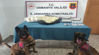 Osmaniye'de Uyuşturucu Operasyonu: 1 Şüpheli Tutuklandı