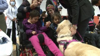 Özel eğitimli terapi köpekleri hastaların tedavisine destekte aktif rol oynayacak
