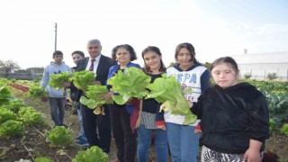 Özel öğrenciler, tarım lisesi öğrencilerinin ürettikleri mantarları ve sebzeleri birlikte topladı