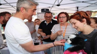 Patili dostlar Marmariste çok mutlu