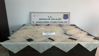 Piyasa değeri 2 milyon TL olan bonzai ele geçirildi